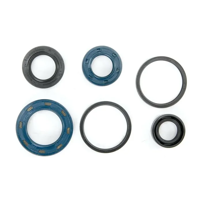 ATHENA Motorsimmerringsatz Inhalt 6 Simm