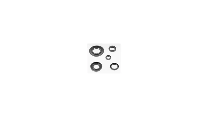 ATHENA Motorsimmerringsatz Inhalt 6 Simm