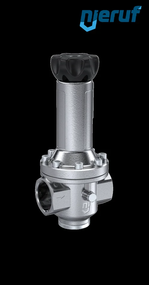 Druckregler 2″ Zoll FKM Edelstahl