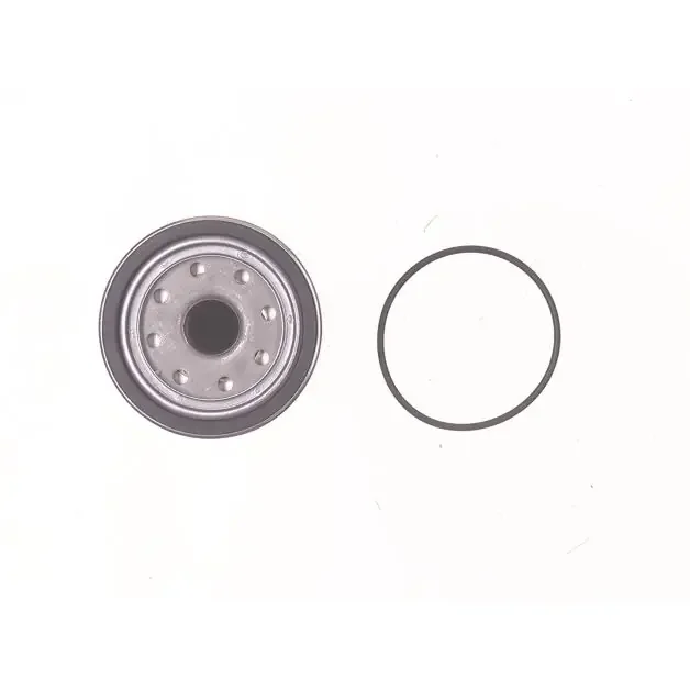 ELEMENT FUEL PRE FILTER, 17149881