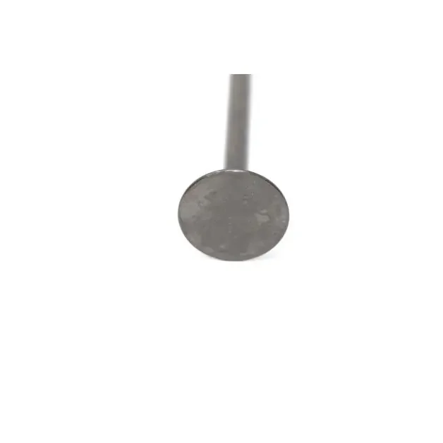 Exhaust Valve, 6657496