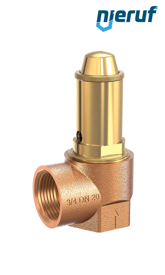Membran-Sicherheitsventil 1 1/4″ x 1 1/4″ IG FKM