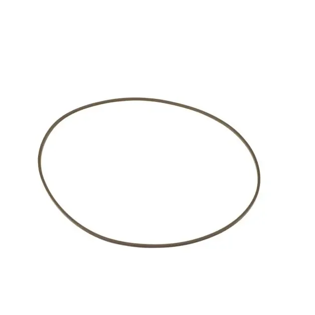 Quad Ring Hydraulic Motor, 6675864
