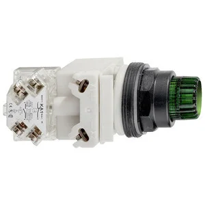 Schneider Electric Leuchtdrucktaster 9001SK2L35LGG