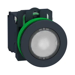 Schneider Electric Leuchtdrucktaster XB5FW31M5