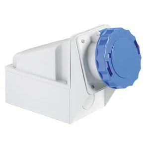 Schneider Electric Wandsteckdose 125A 81191