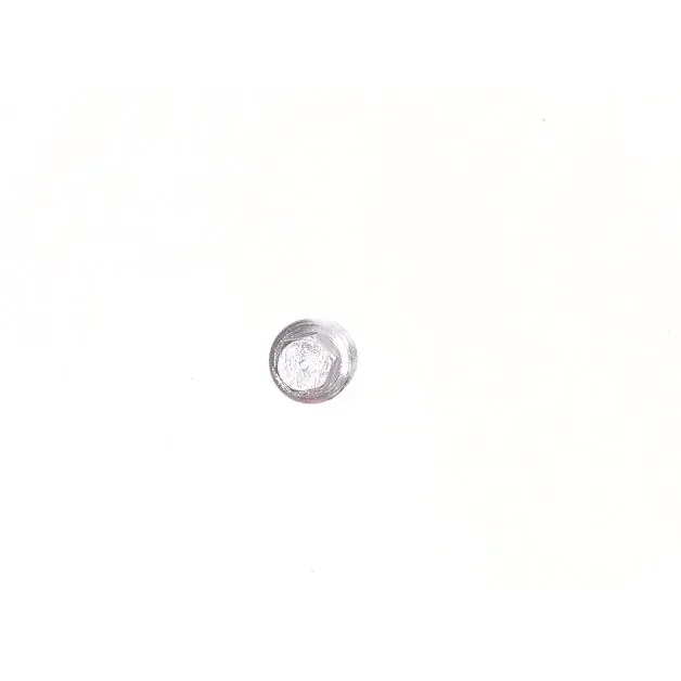 THROTTLE VALVE PLUG 0047070, 85042281